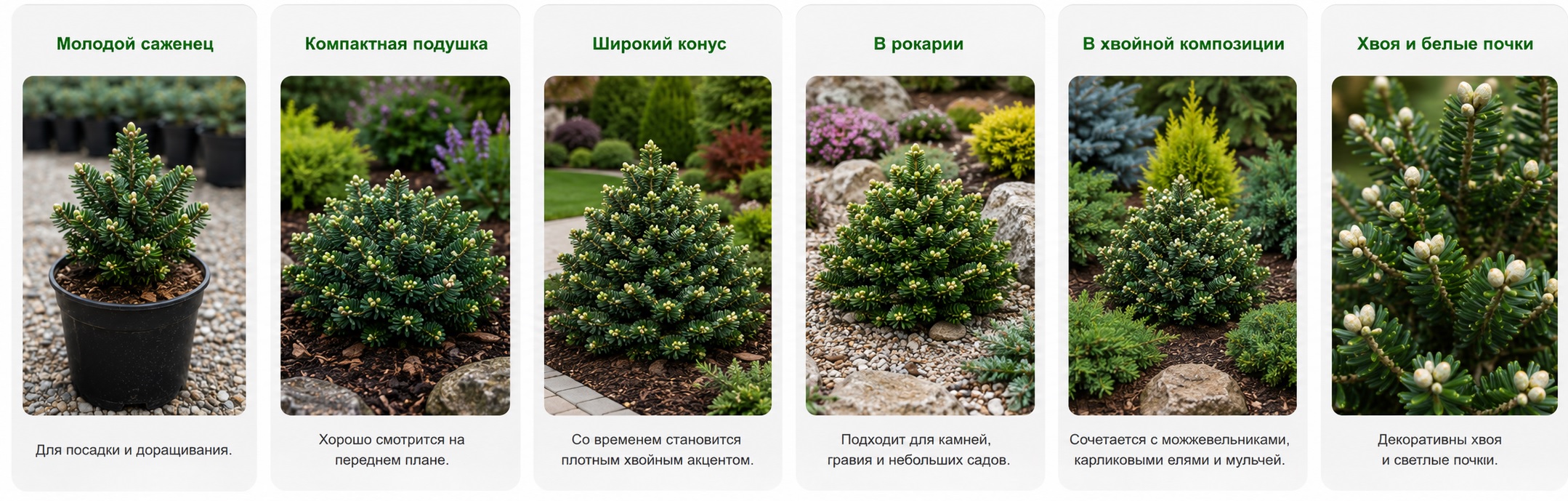Оберон
