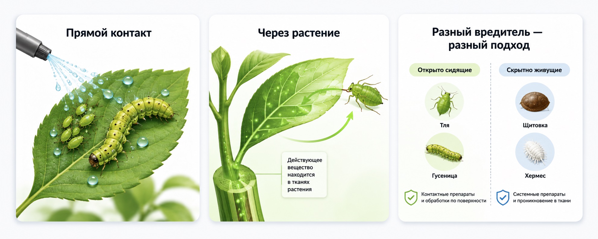 Вредители и инсектициды