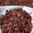 Лиственица